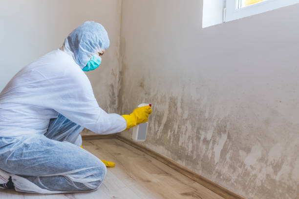 Licensed Mold Inspection service in Hallwood, VA - WQB Mold Removal