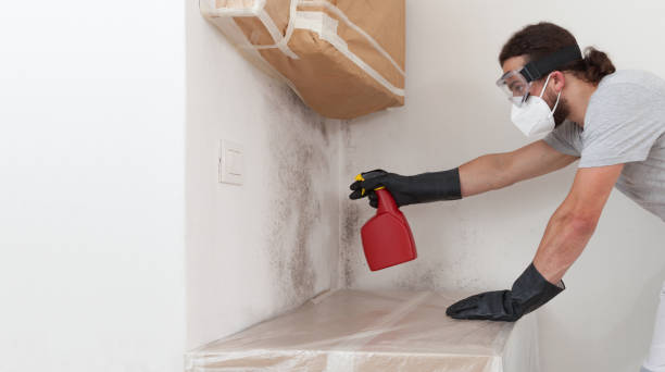 Professional Mold Inspection technician working in Hallwood, VA