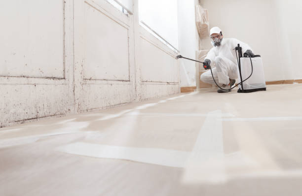 24/7 Emergency Mold Inspection experts in Hallwood, VA