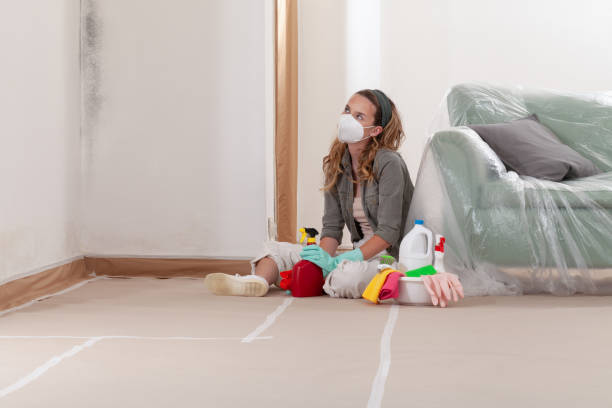 Reliable Mold Inspection contractor in Hallwood, VA by WQB Mold Removal